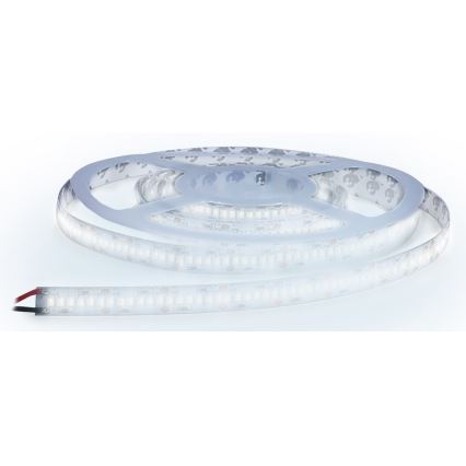 Striscia LED LED/80W/12V 5m bianco freddo