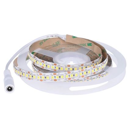 Striscia LED LED/80W/12V 5m bianco freddo