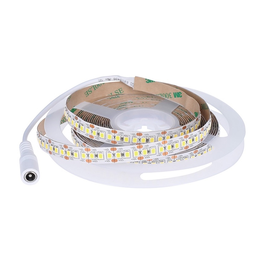 Striscia LED LED/80W/12V 5m bianco freddo