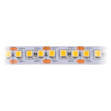 Striscia LED LED/80W/12V 5m bianco freddo