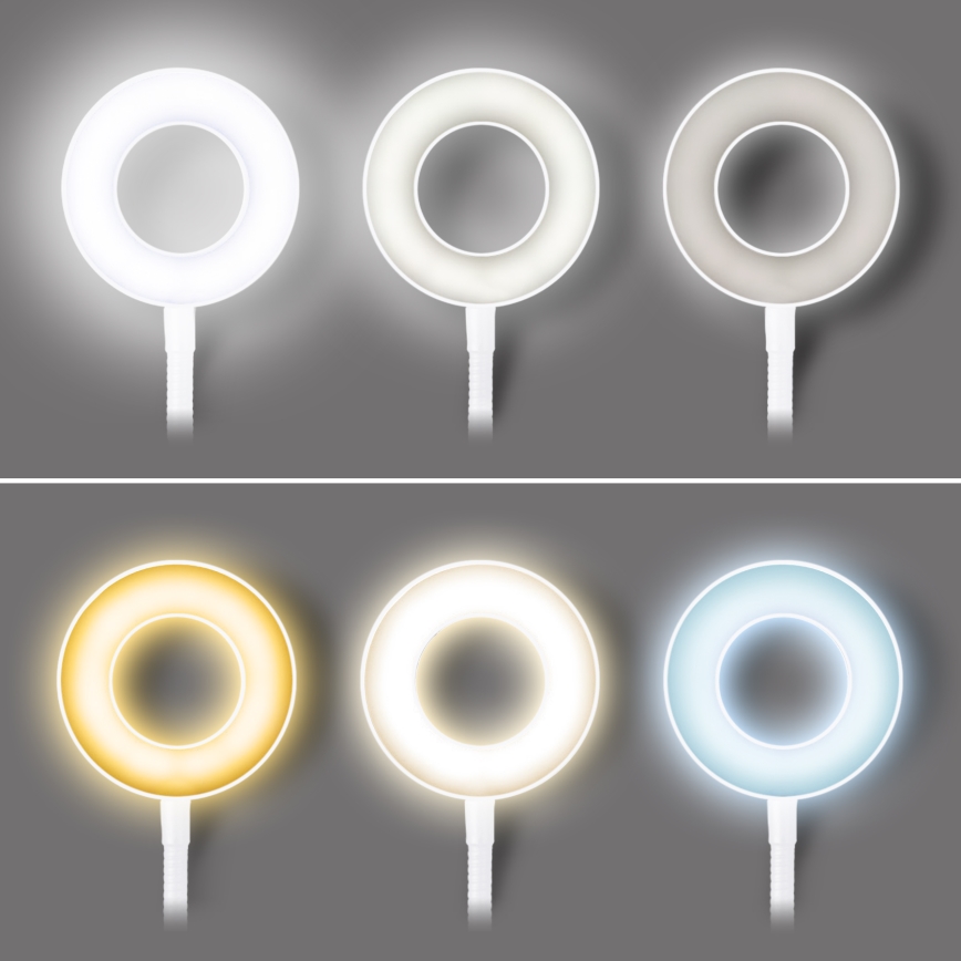 LED lampada da scrivania dimmerabile con clip LED/8W/230V 3000/4000/5000K bianca