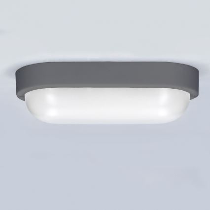 Applique a LED da esterno LED/13W/230V 4000K IP54 grigio ovale