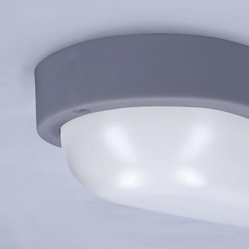 Applique a LED da esterno LED/13W/230V 4000K IP54 grigio ovale