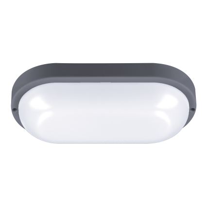 LED Lampada da esterno LED/20W/230V 4000K IP54 grigio ovale