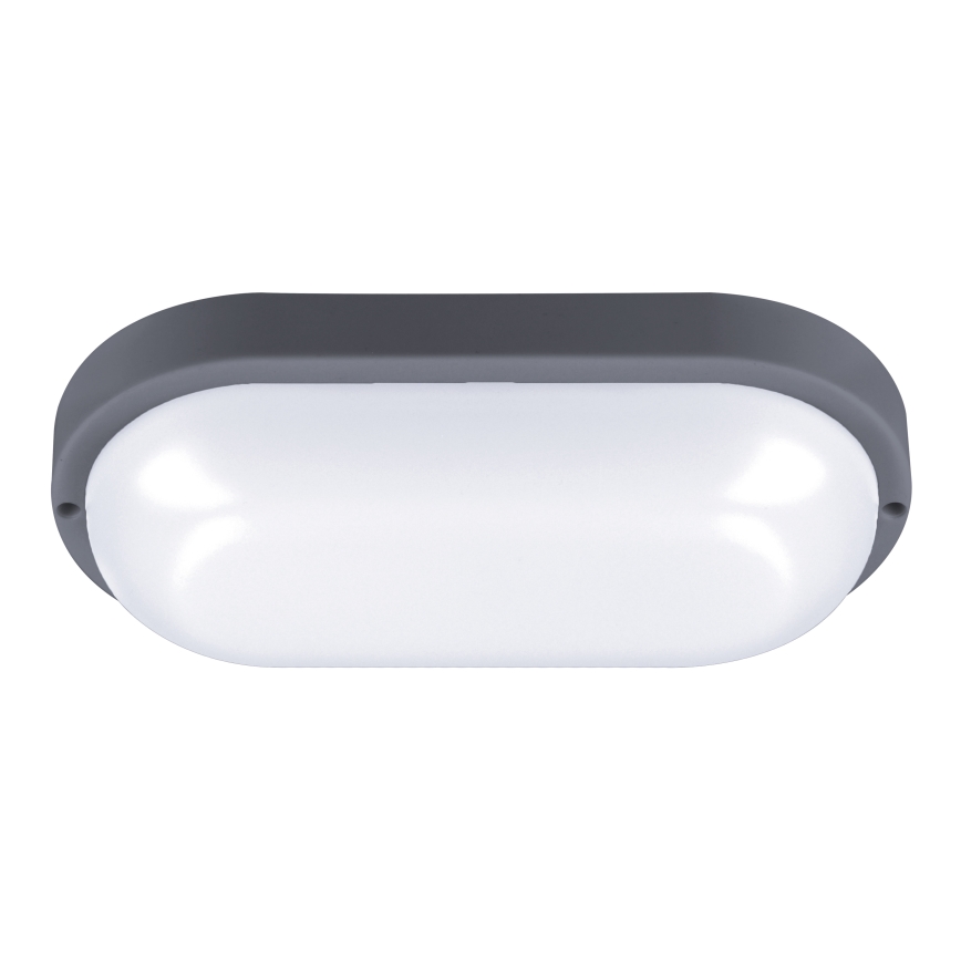 LED Lampada da esterno LED/20W/230V 4000K IP54 grigio ovale