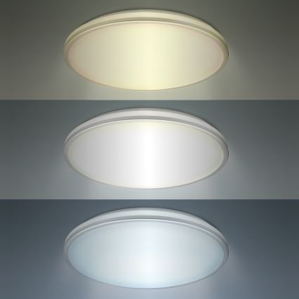 LED Plafoniera bagno LED/18W/230V 3000/4000/6500K IP54