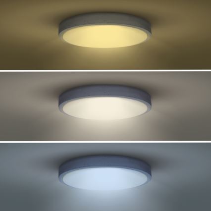 Plafoniera LED dimmerabile GREY LED/48W/230V 3000-6500K grigio diametro 38 cm + telecomando