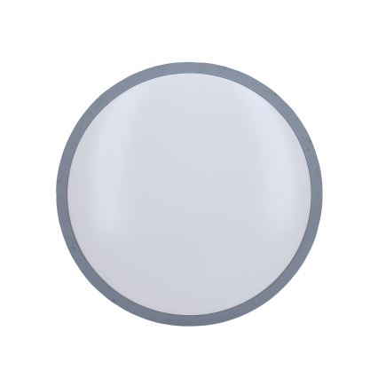 Plafoniera LED dimmerabile GREY LED/48W/230V 3000-6500K grigio diametro 38 cm + telecomando