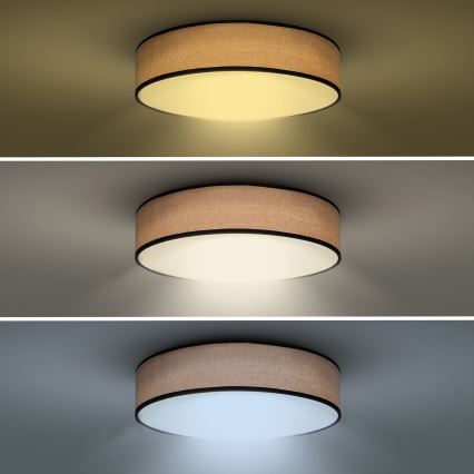 Plafoniera LED dimmerabile BROWNIE LED/48W/230V 3000-6500K marrone diametro 40 cm + telecomando