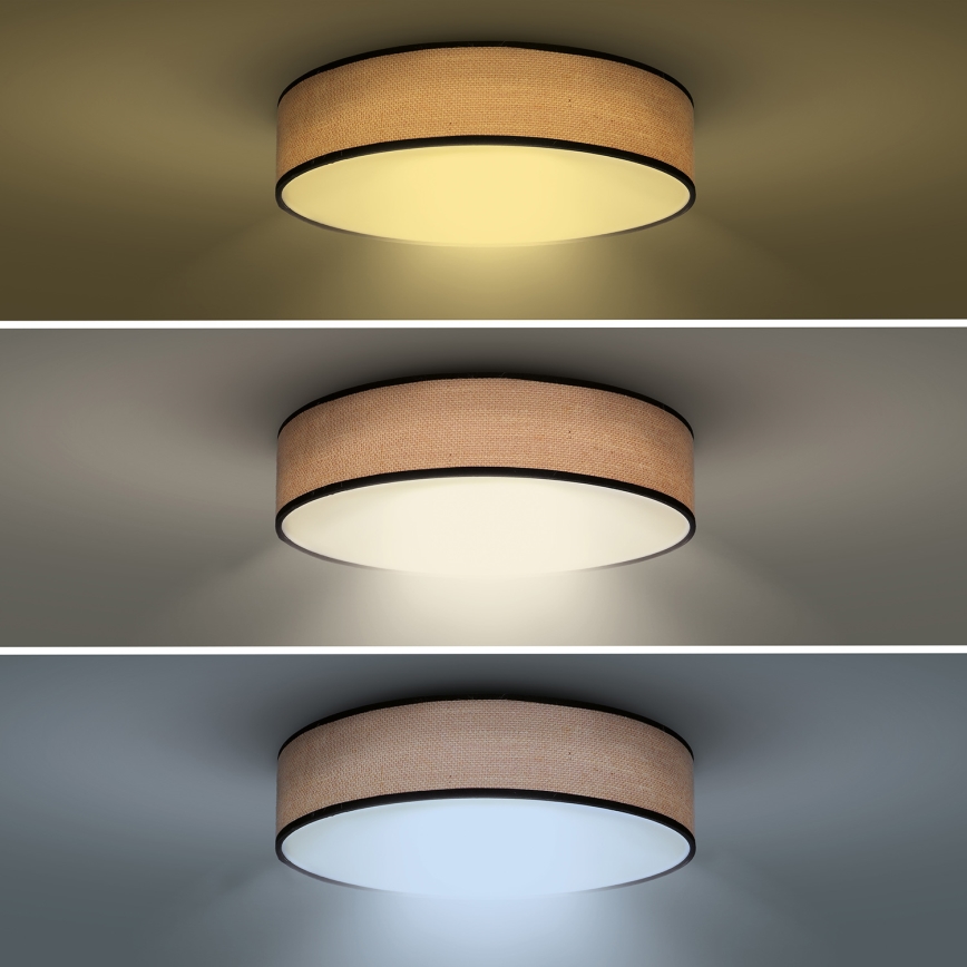 Plafoniera LED dimmerabile BROWNIE LED/48W/230V 3000-6500K marrone diametro 40 cm + telecomando