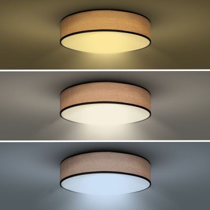 Plafoniera LED dimmerabile BROWNIE LED/60W/230V 3000-6500K marrone diametro 50 cm + telecomando