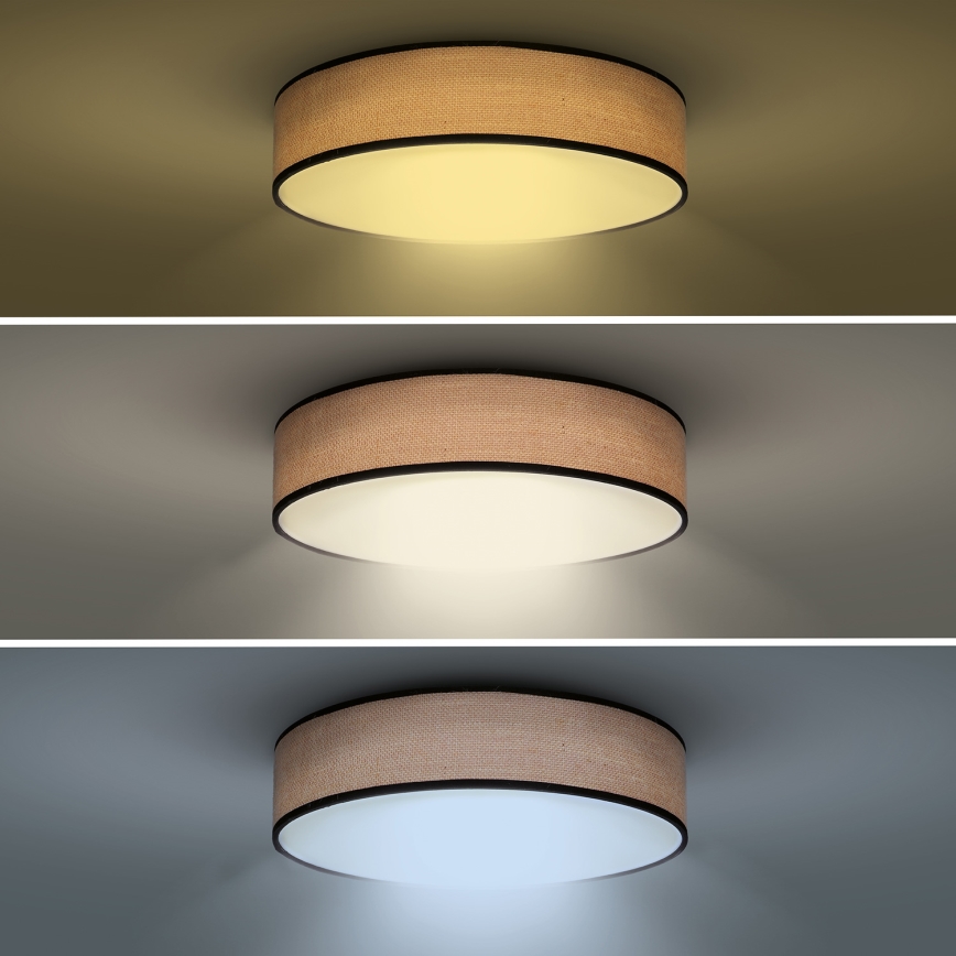 Plafoniera LED dimmerabile BROWNIE LED/60W/230V 3000-6500K marrone diametro 50 cm + telecomando