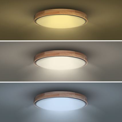 Plafoniera LED dimmerabile IRON OAK 48W/230V 3000-6500K rovere Ø 40 cm + telecomando incluso