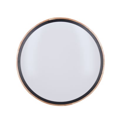 Plafoniera LED dimmerabile IRON OAK 48W/230V 3000-6500K rovere Ø 40 cm + telecomando incluso