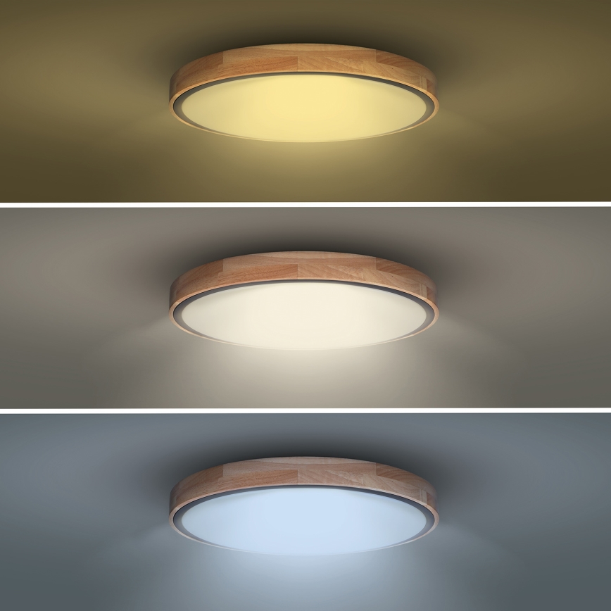 Lampada da soffitto dimmerabile LED IRON OAK LED/48W/230V 3000-6500K rovere Ø 40 cm con telecomando