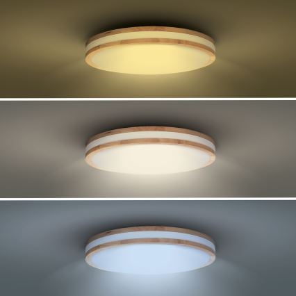 Lampada da soffitto dimmerabile LED WOODY LED/60W/230V 3000-6500K rovere Ø 50 cm con telecomando