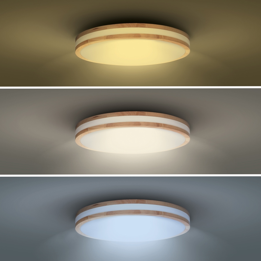 Lampada da soffitto dimmerabile LED WOODY LED/60W/230V 3000-6500K rovere Ø 50 cm con telecomando