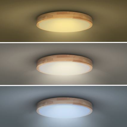 Plafoniera LED dimmerabile SOLID OAK LED/48W/230V 3000-6500K quercia diametro 39 cm + telecomando