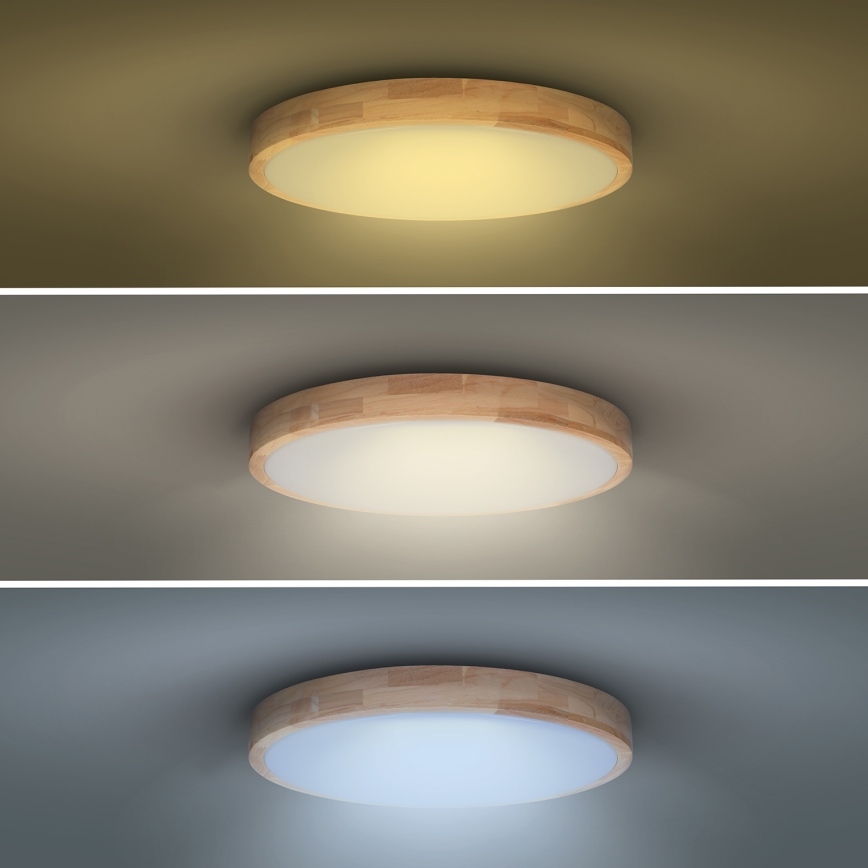 Plafoniera LED dimmerabile SOLID OAK LED/48W/230V 3000-6500K quercia diametro 39 cm + telecomando