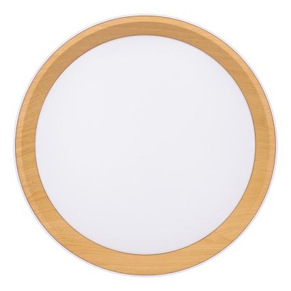 Plafoniera LED dimmerabile LARIOS LED/48W/230V 3000-6500K diametro 39 cm bianco + telecomando