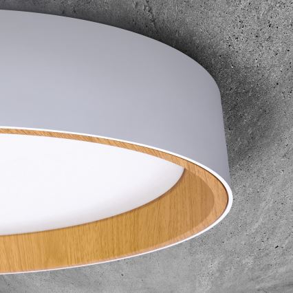Plafoniera LED dimmerabile LARIOS LED/48W/230V 3000-6500K diametro 39 cm bianco + telecomando