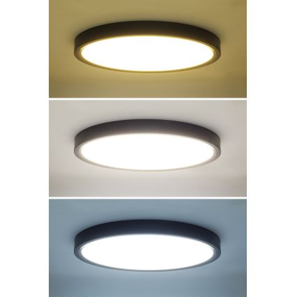 Plafoniera LED dimmerabile ESTELA LED/36W/230V diametro 30 cm nero + telecomando