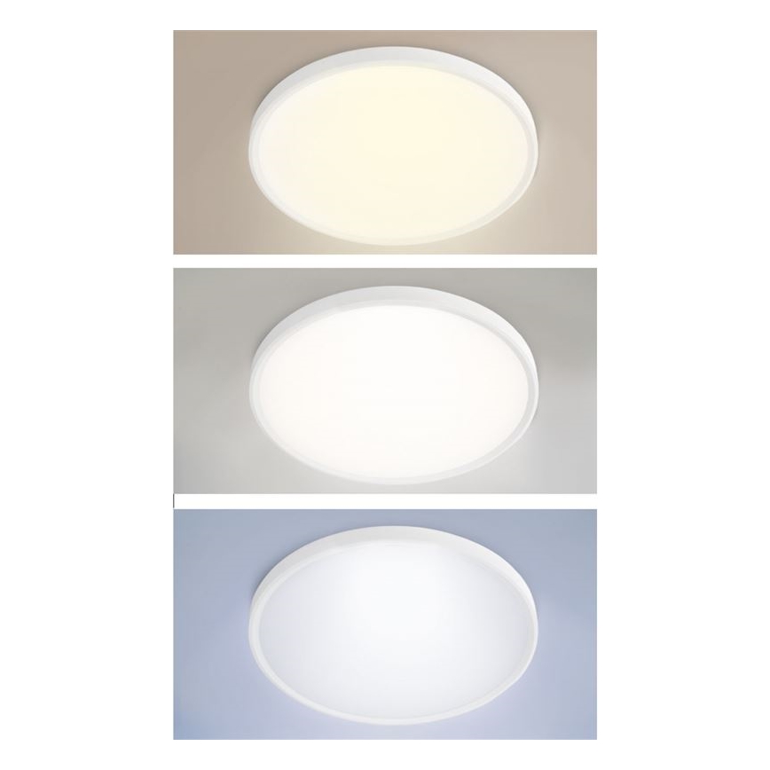 Lampada LED dimmerabile da soffitto (montaggio a superficie o sospensione) 50W/230V 3000-6500K + telecomando