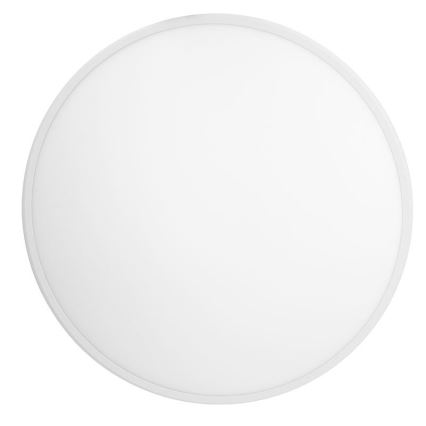 Lampada LED dimmerabile da soffitto (montaggio a superficie o sospensione) 50W/230V 3000-6500K + telecomando