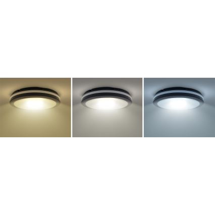 LED Dimmerabile per esterni soffitto chiaro LED/18W/22W/26W/230V 3000/4000/6500K IP65 nero