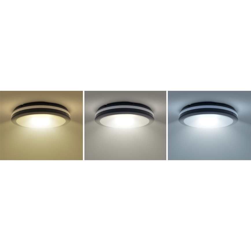 LED Dimmerabile per esterni soffitto chiaro LED/18W/22W/26W/230V 3000/4000/6500K IP65 nero