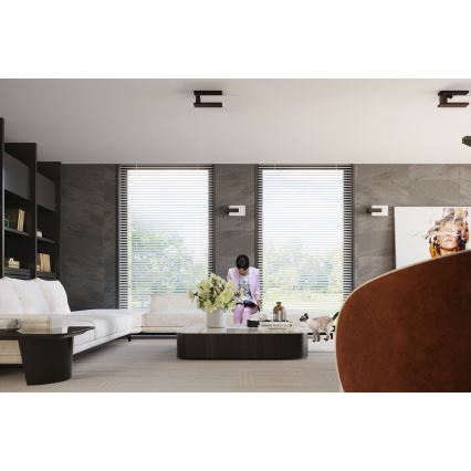 Plafoniera LAPPO 2xE27/15W/230V wenge