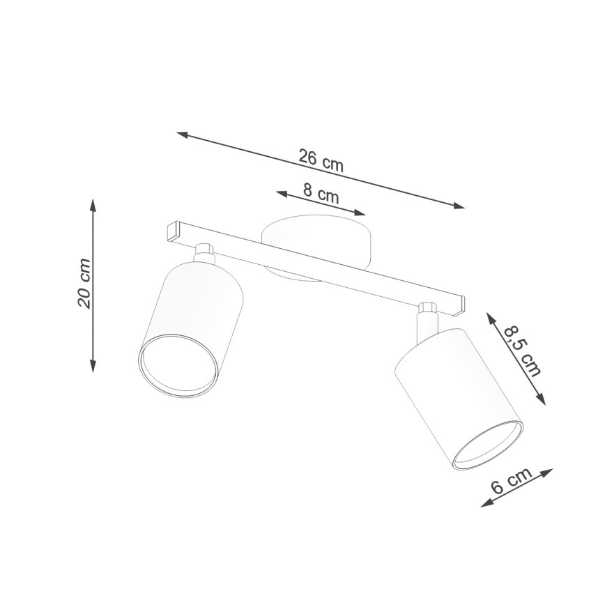 Luce Spot LEMMI 2xGU10/40W/230V bianco