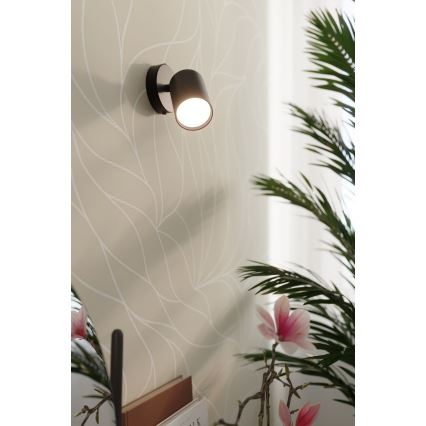 Lampada da parete a spot LEMMI 1xGU10/40W/230V nero