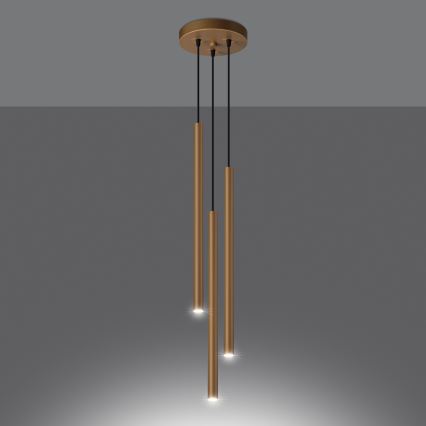 Lampadario a sospensione con filo PASTELO 3xG9/8W/230V oro