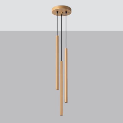 Lampadario a sospensione con filo PASTELO 3xG9/8W/230V oro