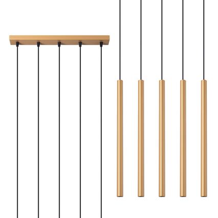 Lampadario a sospensione con filo PASTELO 5xG9/8W/230V oro