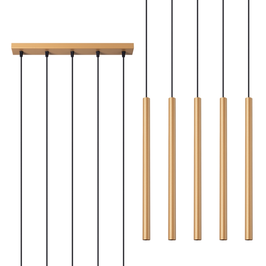 Lampadario a sospensione con filo PASTELO 5xG9/8W/230V oro