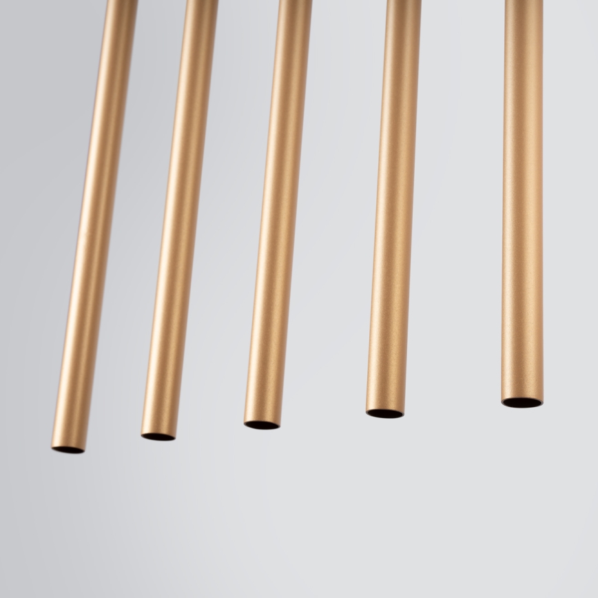 Lampadario a sospensione con filo PASTELO 5xG9/8W/230V oro