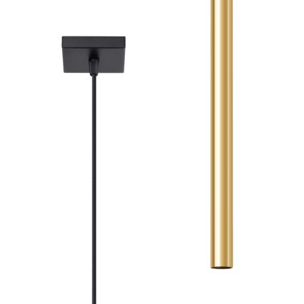 Lampadario a sospensione con filo PASTELO 1xG9/8W/230V oro