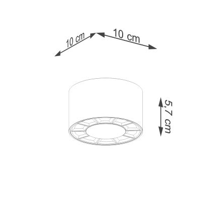 Faretto LED DIO LED/10W/230V bianco