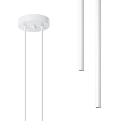 Lampadario a sospensione con filo PASTELO 2xG9/8W/230V bianco