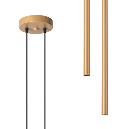 Lampadario a sospensione con filo PASTELO 2xG9/8W/230V oro