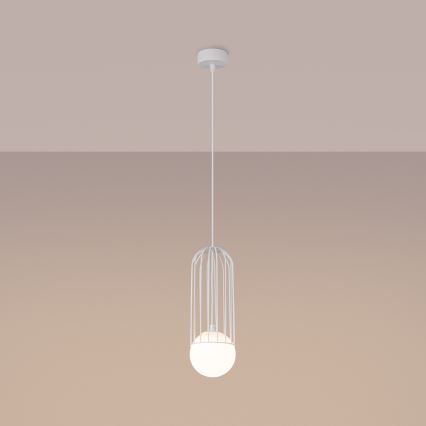 Lampadario a sospensione con filo BRINA 1xG9/8W/230V bianco