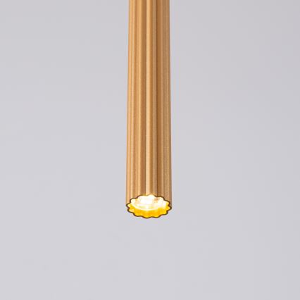 Lampadario a sospensione con filo ARCHE 1xG9/8W/230V oro