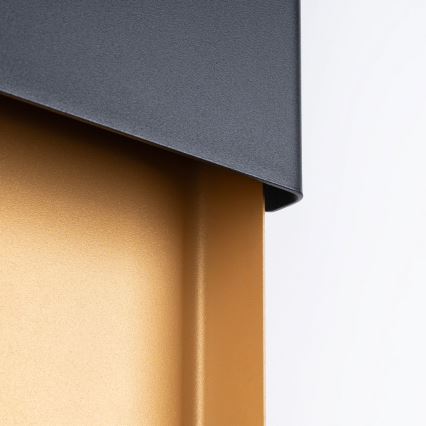 Applique DURLIN 2xG9/8W/230V oro/nero