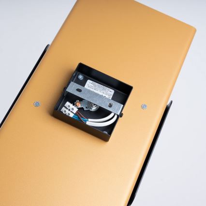 Applique DURLIN 2xG9/8W/230V oro/nero