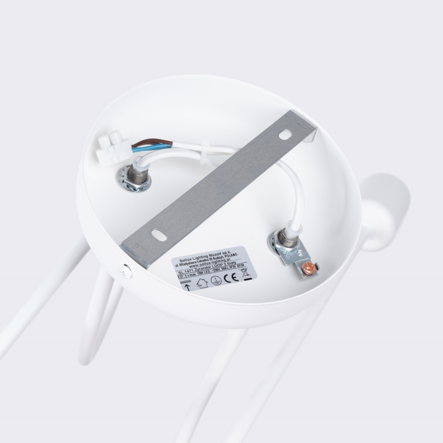 Lampadario a plafone LOOP 2xE27/15W/230V bianco