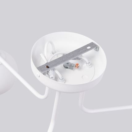 Lampadario a sospensione con supporto rigido ASTRAL 3xG9/8W/230V bianco