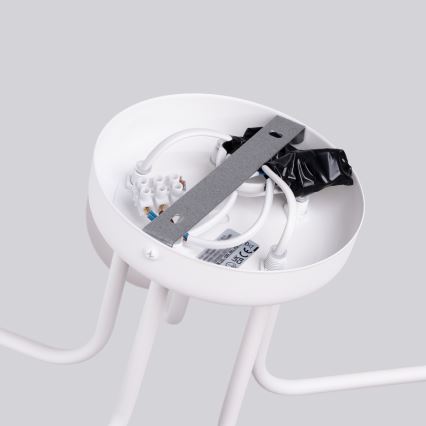 Lampadario a sospensione con supporto rigido ASTRAL 5xG9/8W/230V bianco
