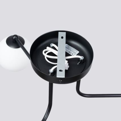 Lampadario a sospensione con supporto rigido ASTRAL 3xG9/8W/230V nero